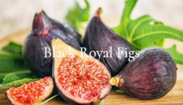 Black Royal Figs
